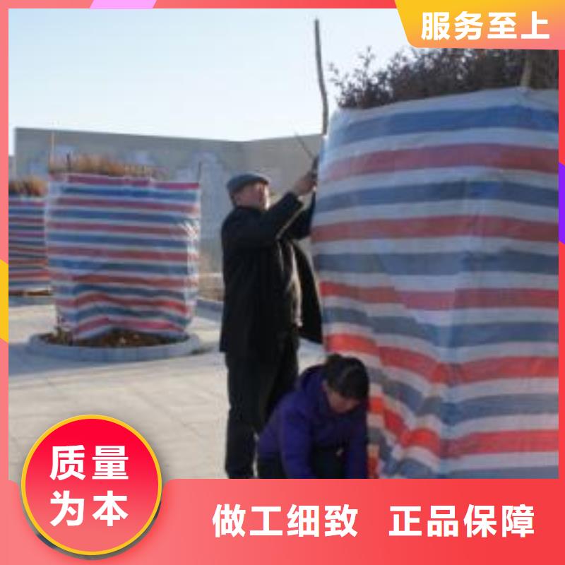 聚乙烯彩条布收费标准