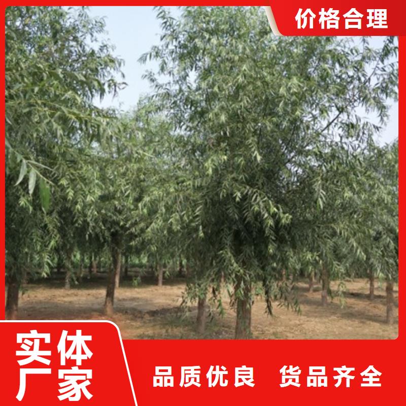 柳树制造厂家