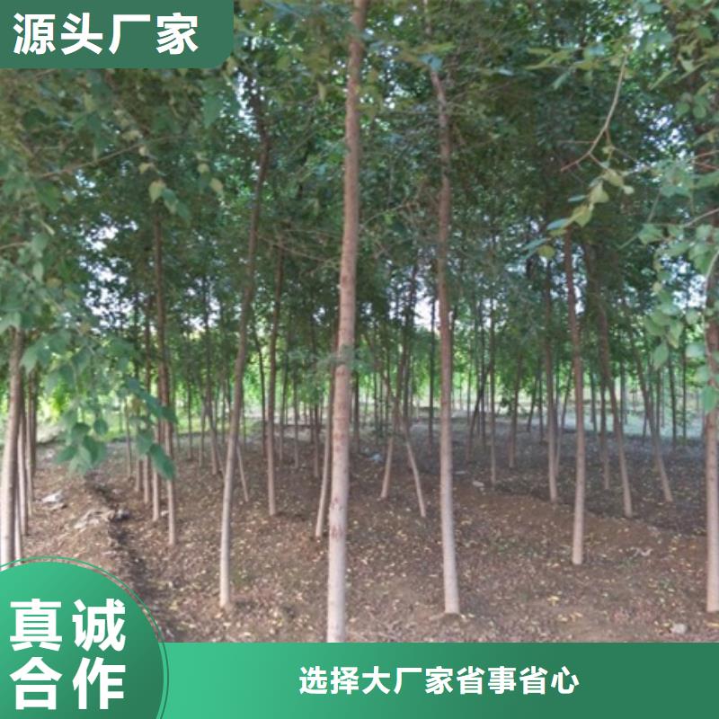 榆树-常规货源当天发出