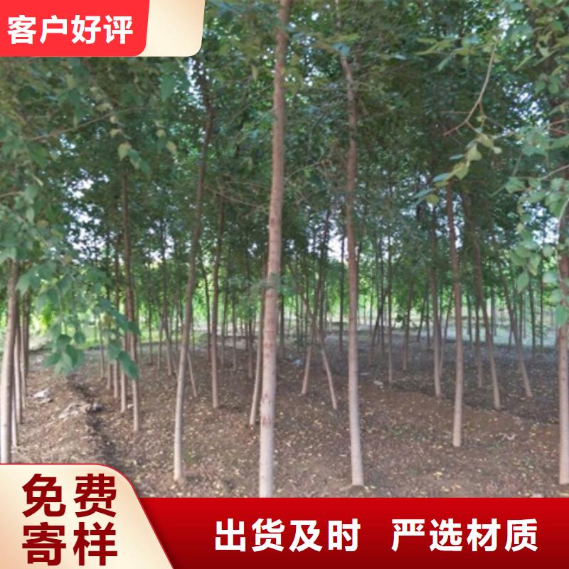 信誉好的榆树厂家_质量保证
