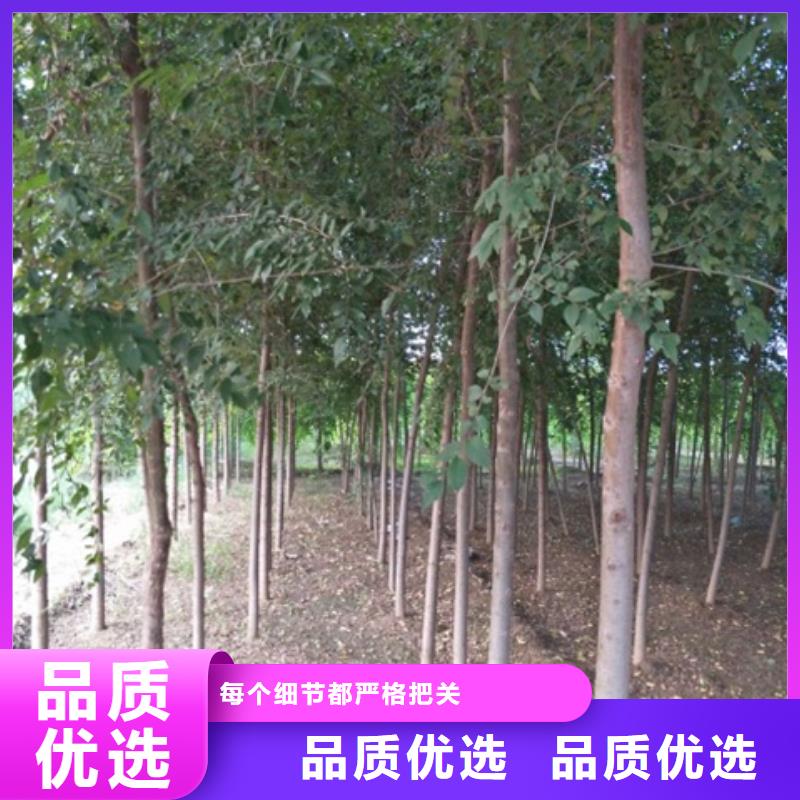 榆树-常规货源当天发出