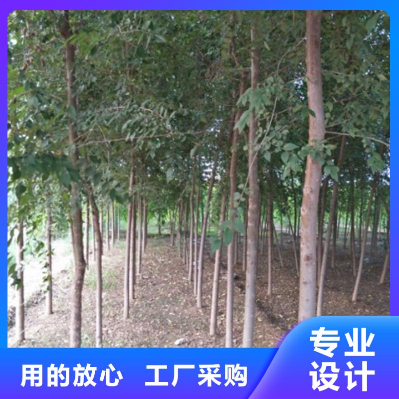 信誉好的榆树厂家_质量保证