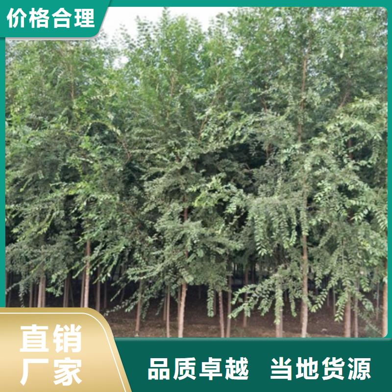 榆树-可在线咨询