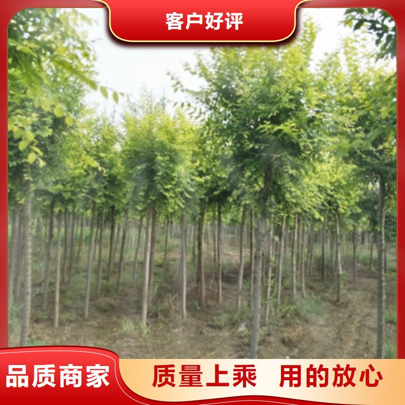 榆树行业经验丰富