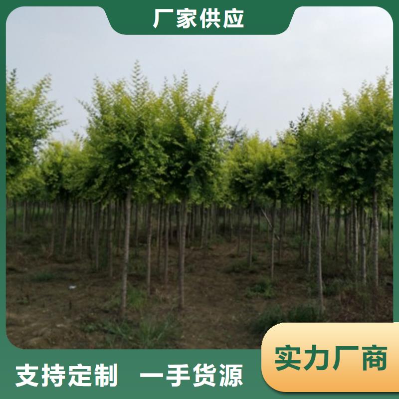 榆树-榆树实力厂家