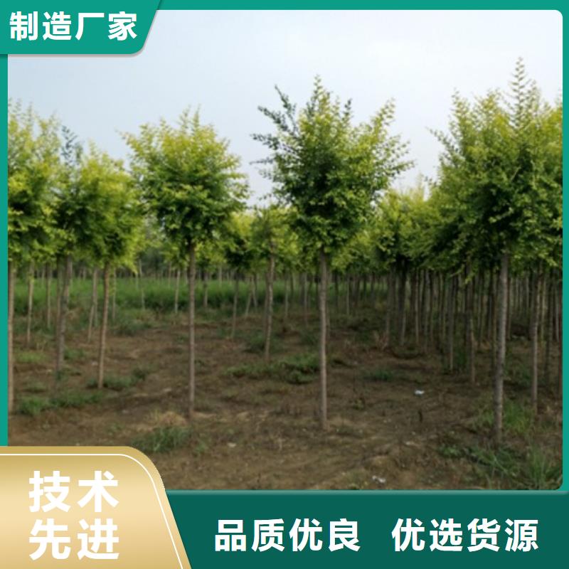 榆树大厂家才可靠