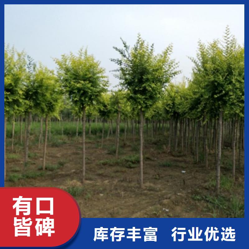 榆树行业经验丰富