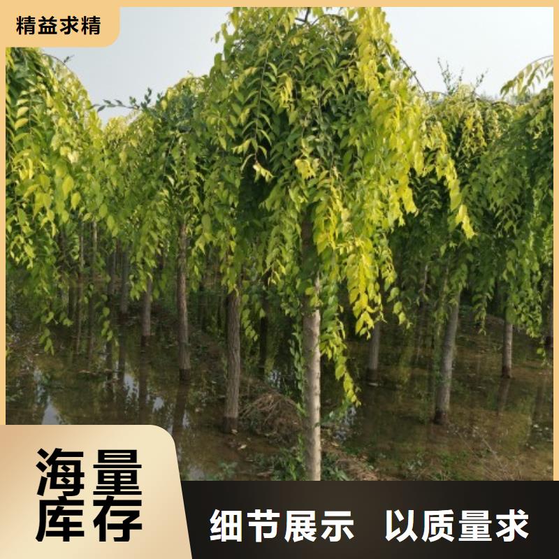 榆树行业经验丰富