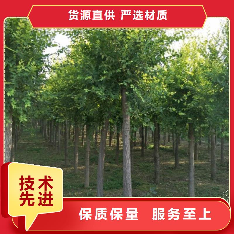 榆树-可在线咨询