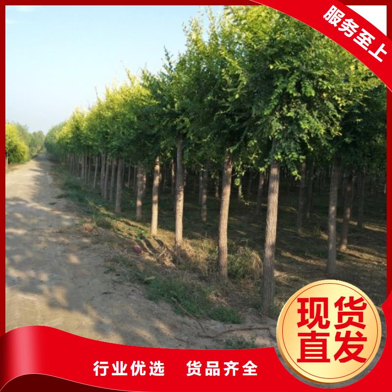 榆树大厂家才可靠