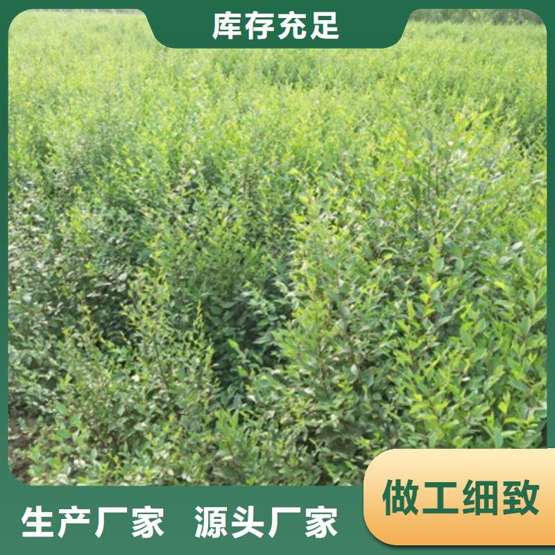 榆树-常规货源当天发出