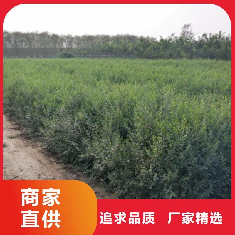 榆树行业经验丰富