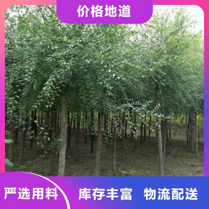 榆树-榆树实力厂家
