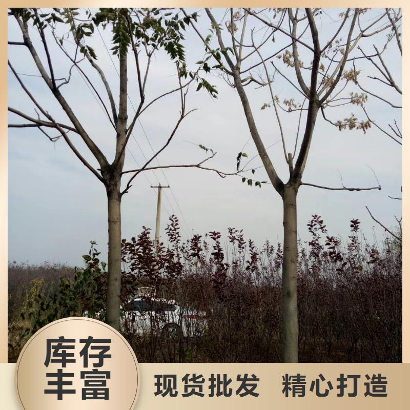 椿树物流送货上门