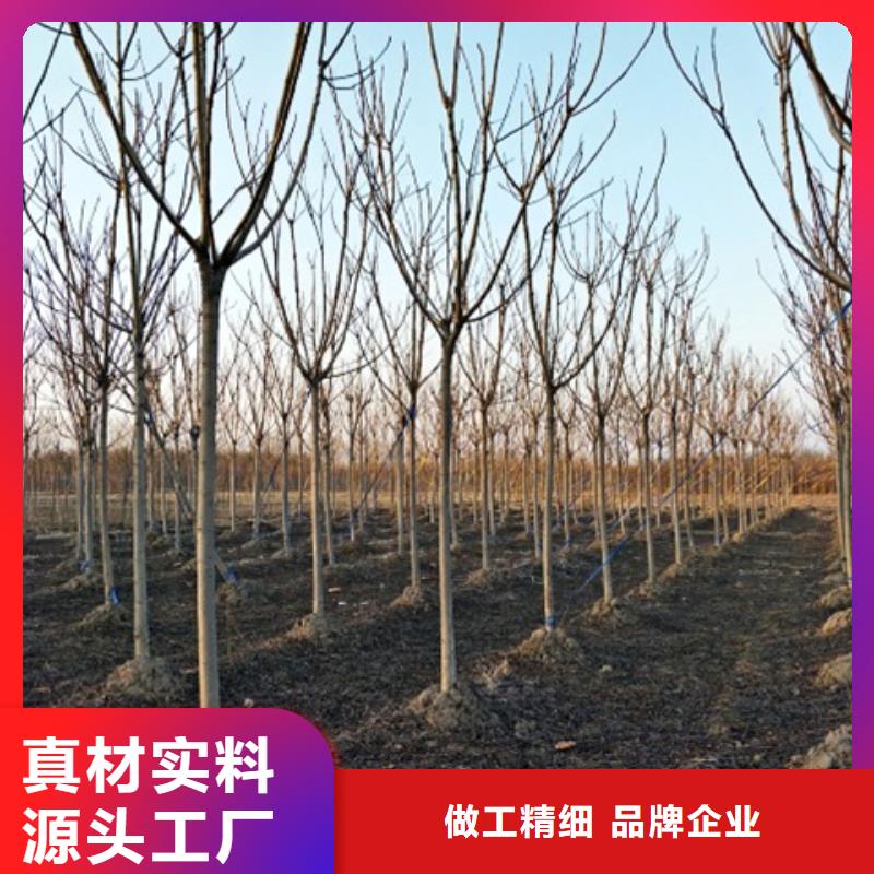 椿树制造工厂