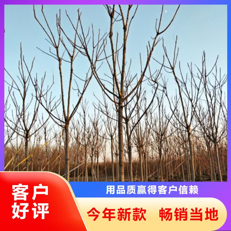 椿树制造工厂