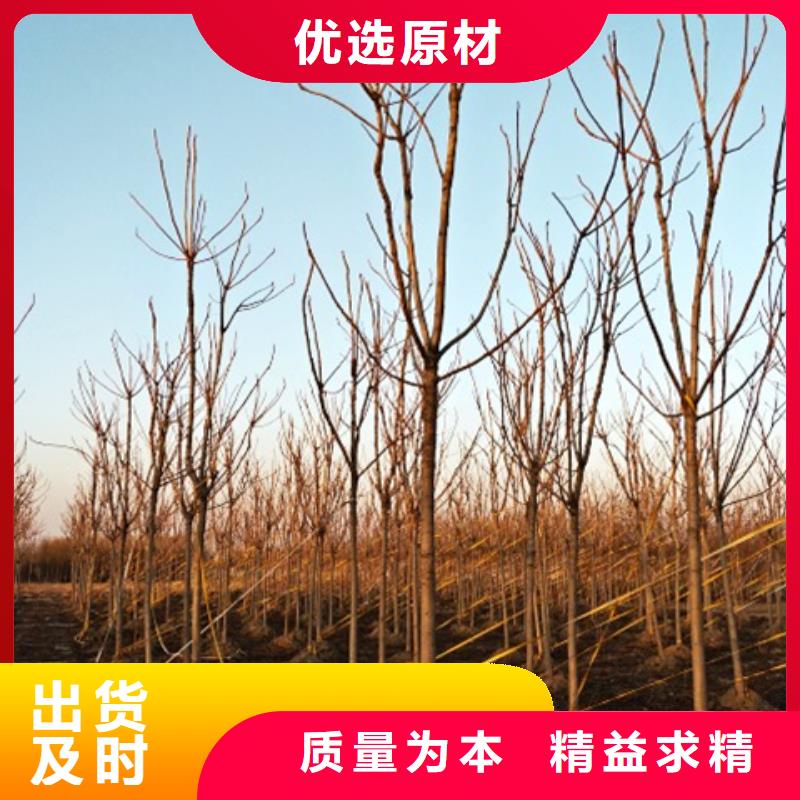 2025欢迎访问##椿树##公司