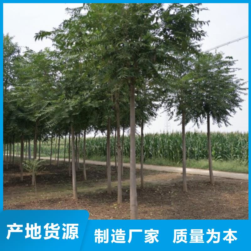 椿树物流送货上门