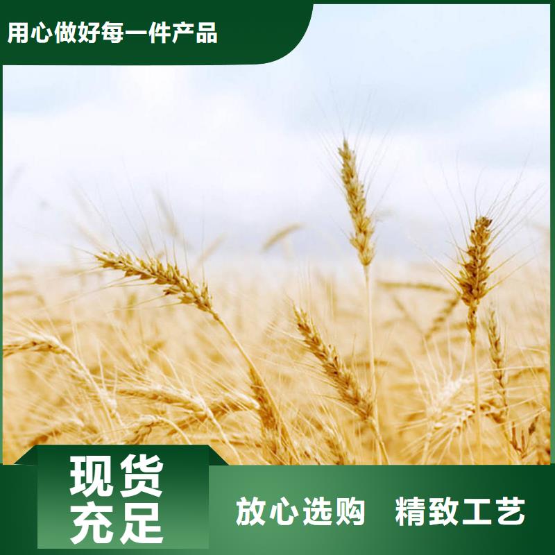 火炬树-实业厂家