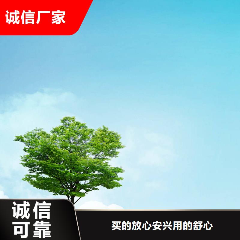 白蜡树实力厂家质量稳定