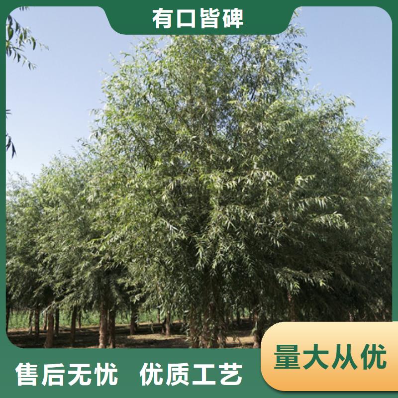 馒头柳、馒头柳生产厂家-型号齐全