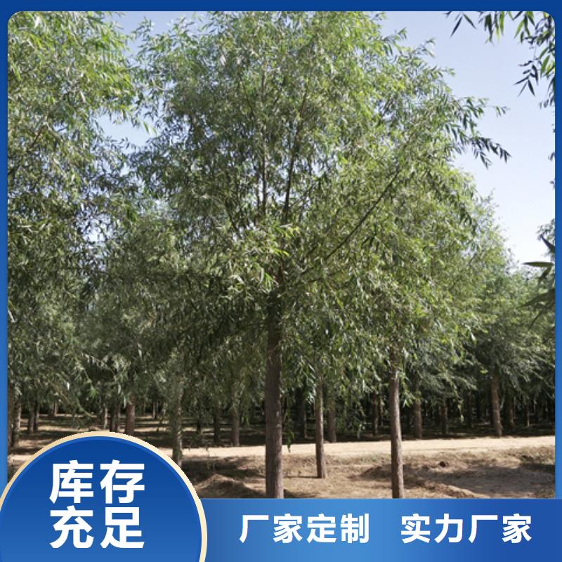 馒头柳厂商