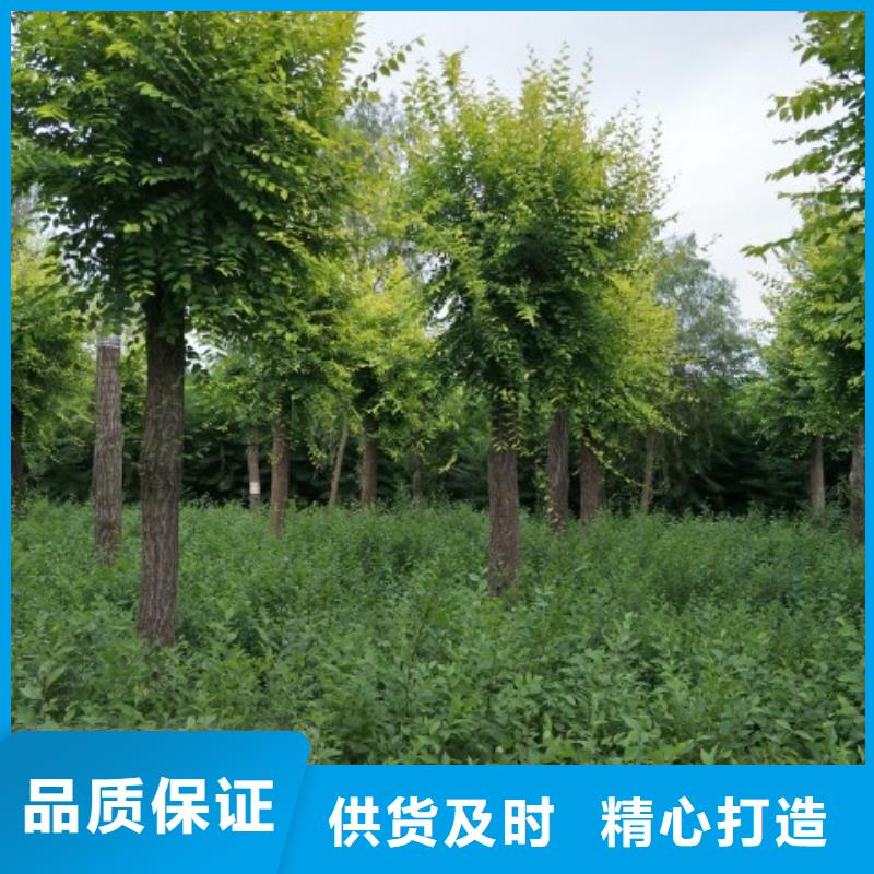 金叶榆企业-可接急单