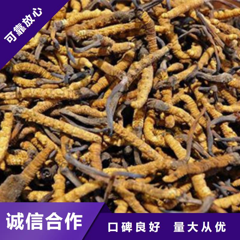 烟酒回收-欢迎询价