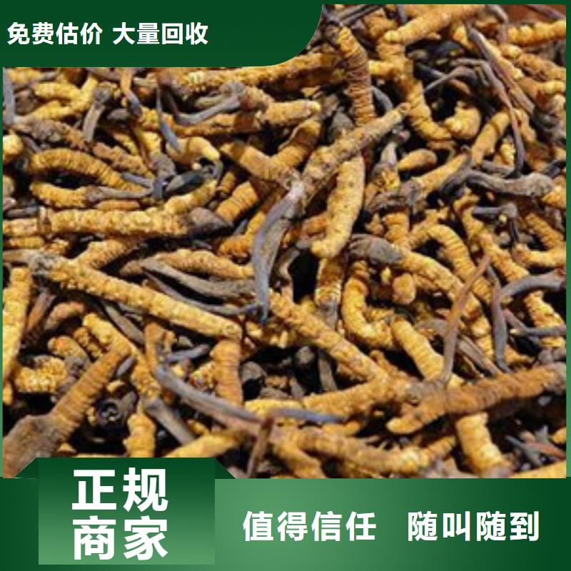 定做烟酒回收的供货商