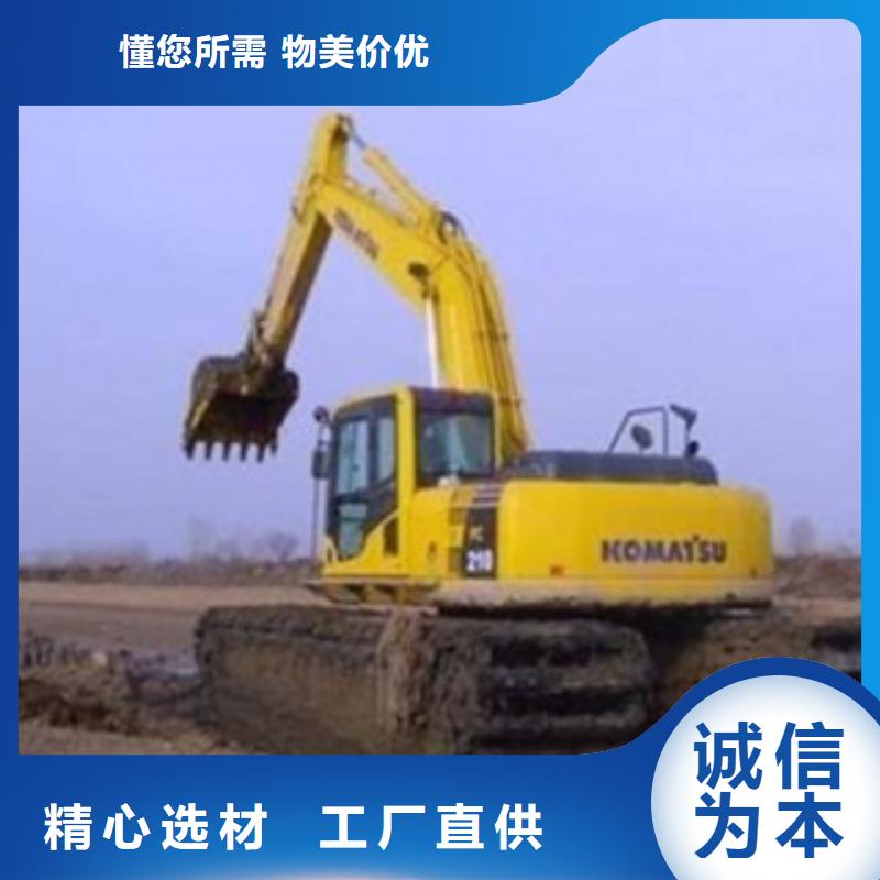 滩涂式挖掘机实力厂家生产