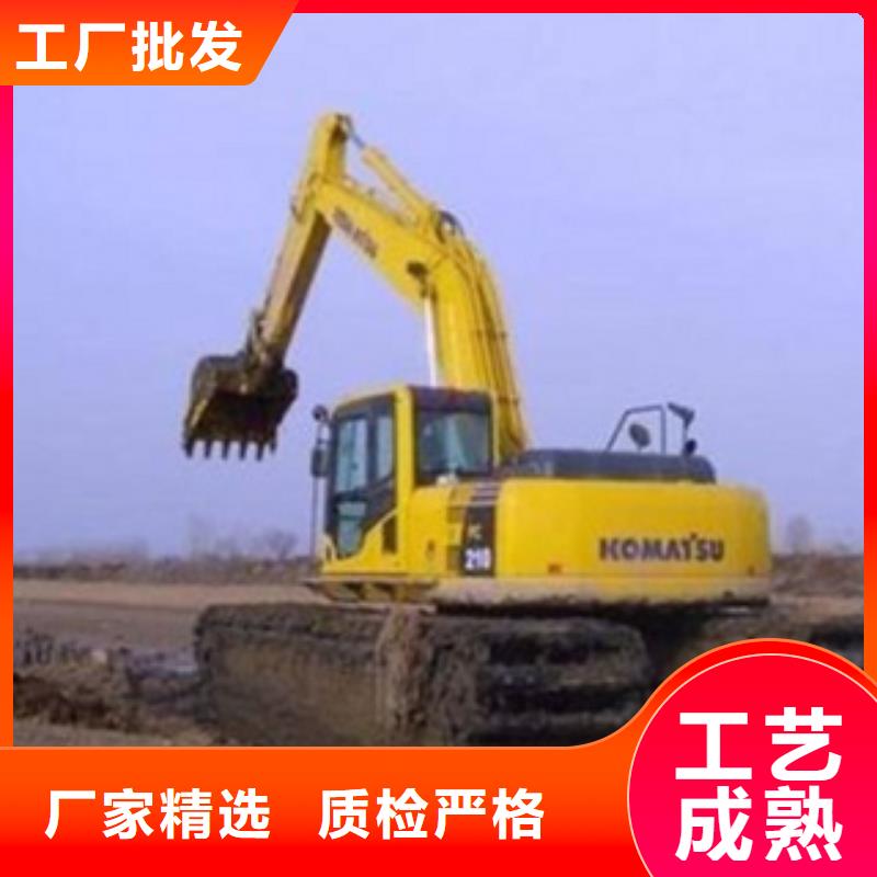 滩涂式挖掘机服务完善