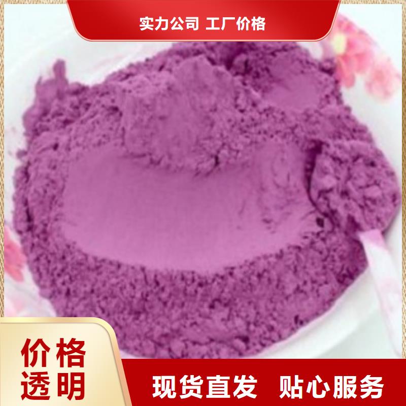 紫薯粉、紫薯粉厂家直销-价格合理当地服务商