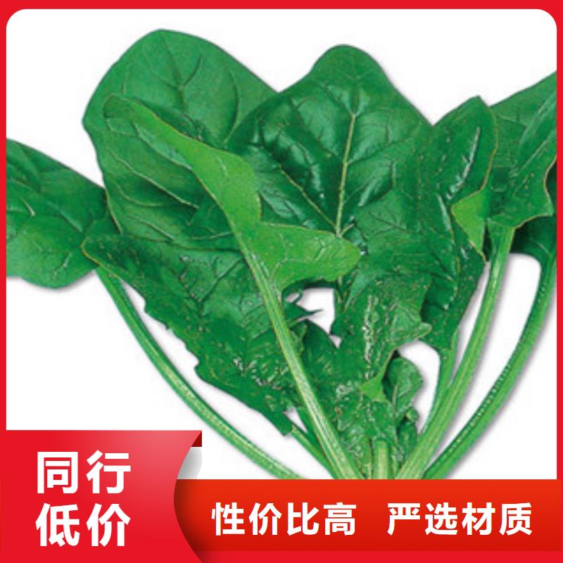 #菠菜粉#-价格透明合作共赢