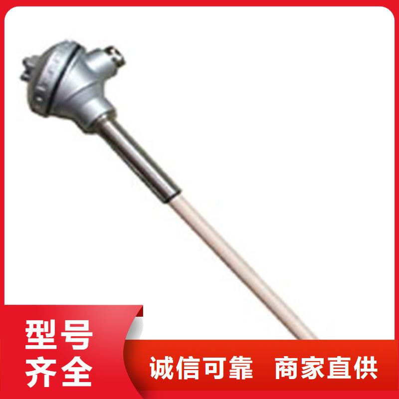 制造热电阻的厂家
