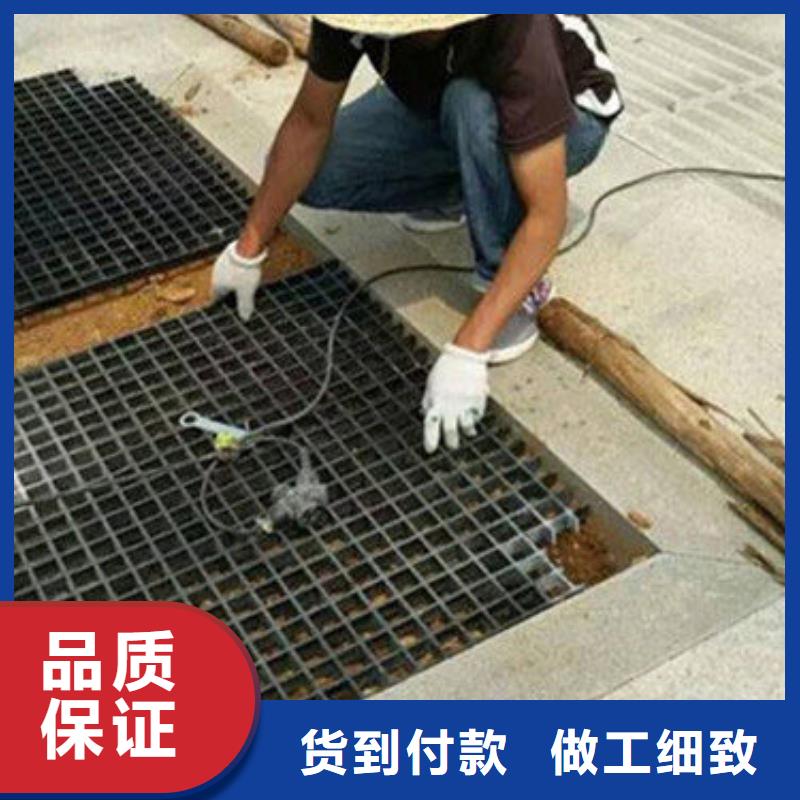 树篦子市场价格