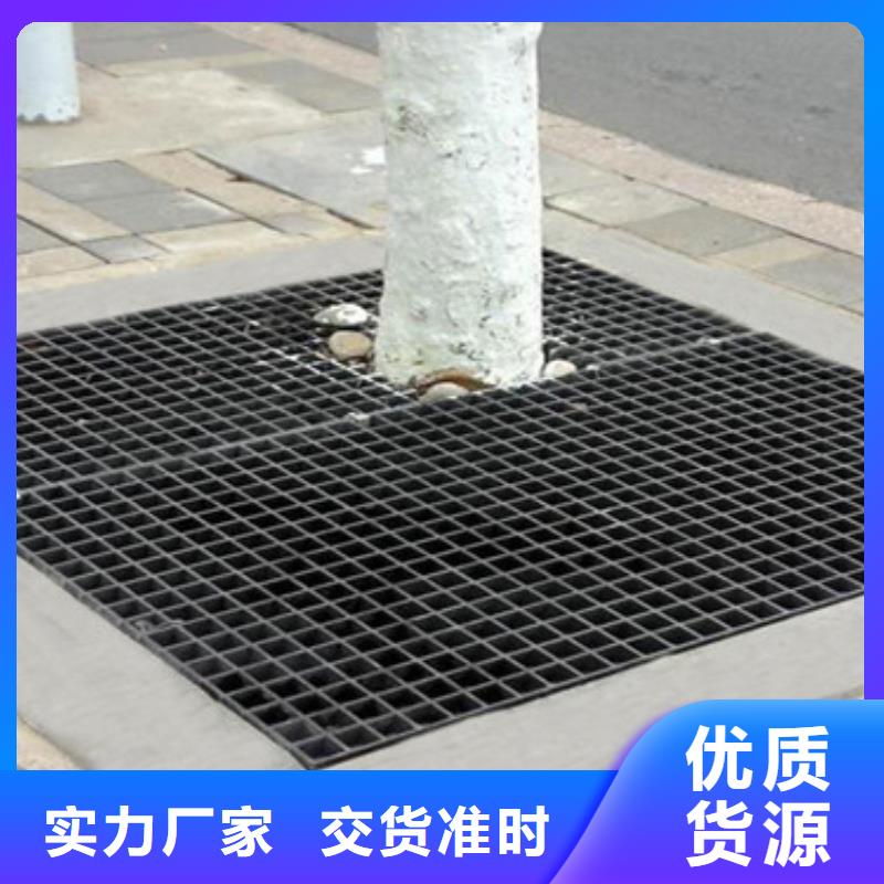 生产树篦子1_品牌厂家