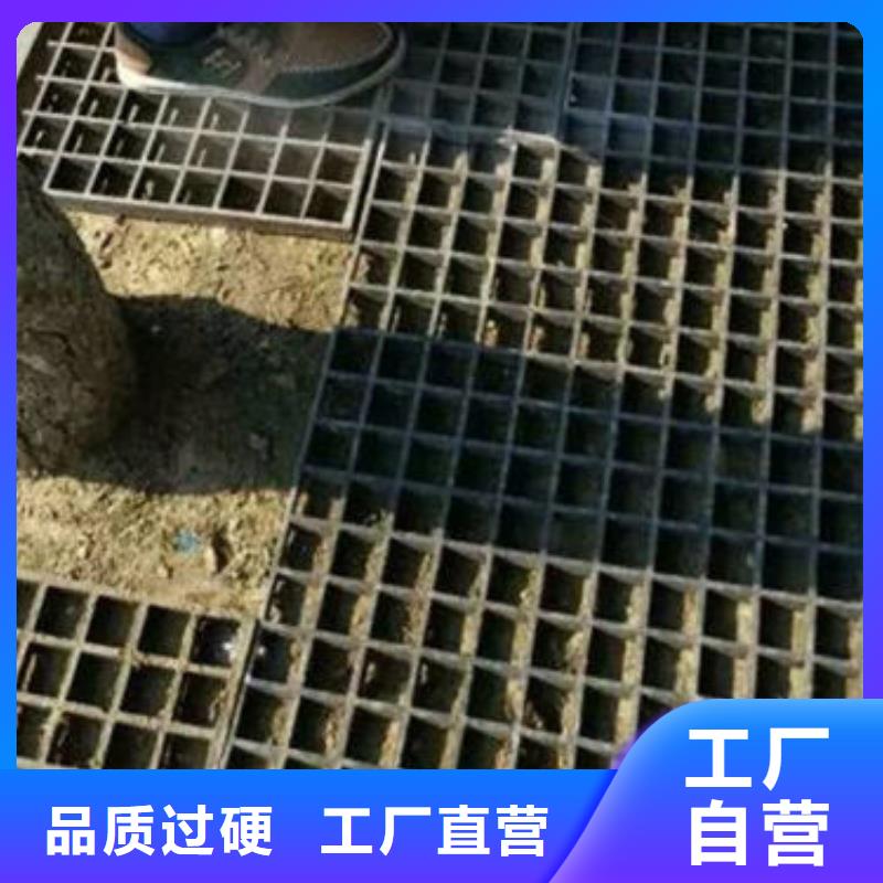 树篦子-实力商家