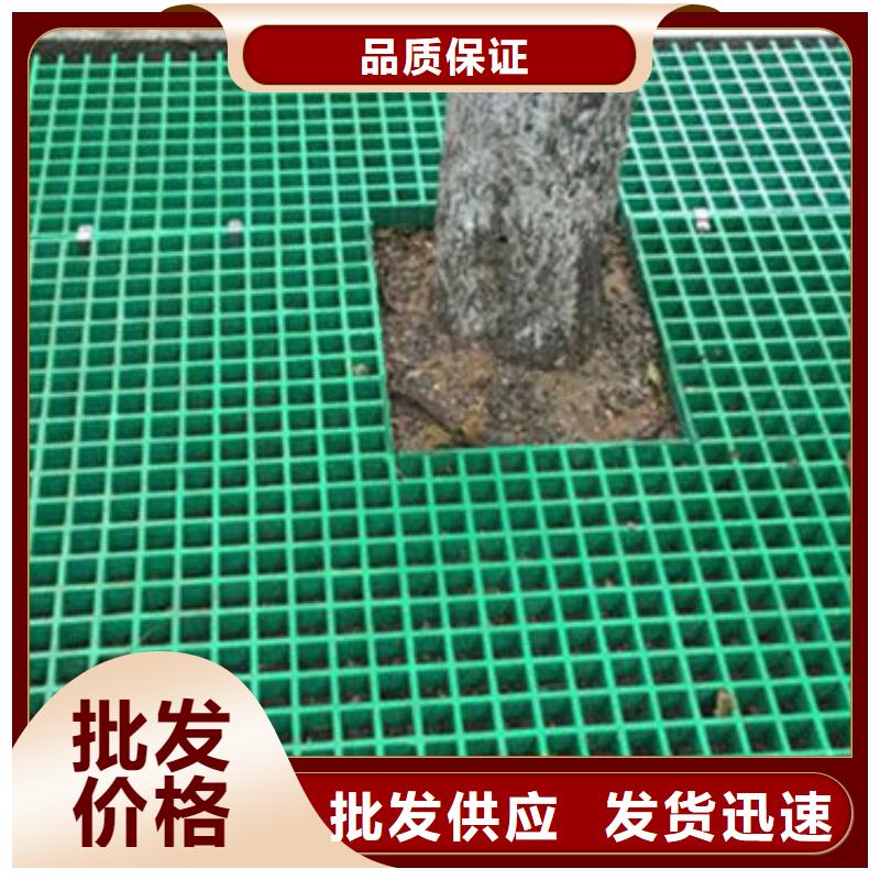经验丰富的树篦子供货商