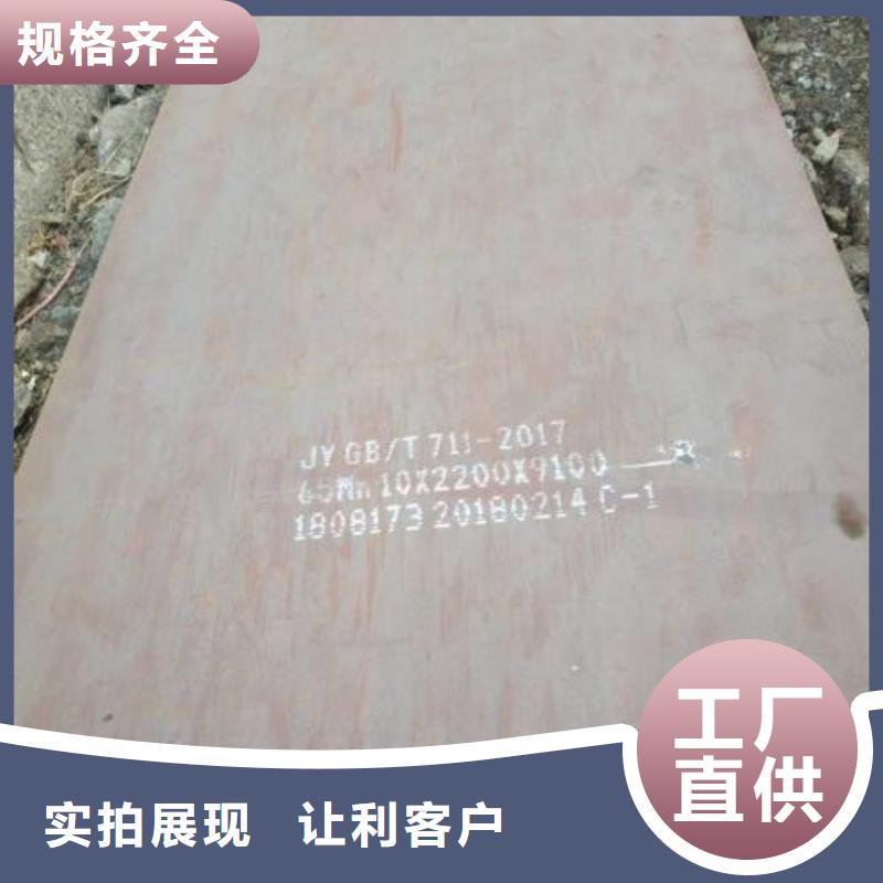 合金钢板甄选厂家