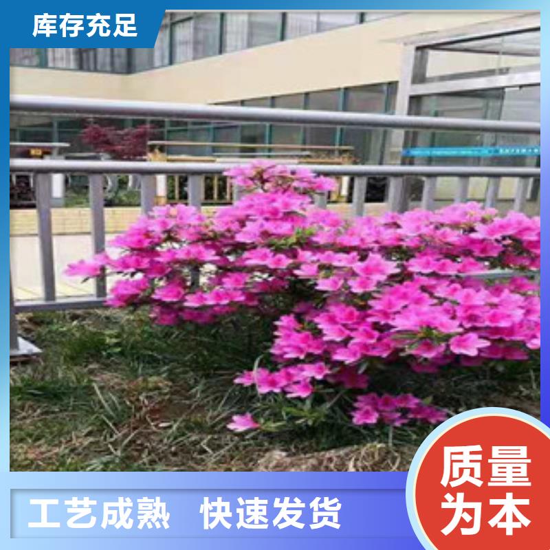 不锈钢复合管灯光护栏收费标准批发供应