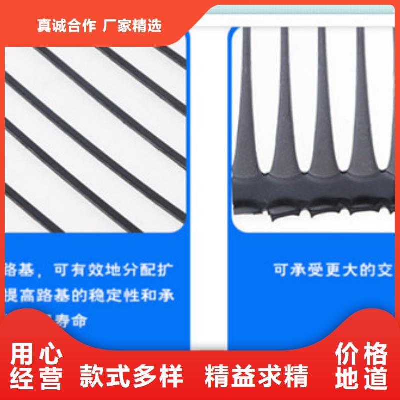 优选：宁德土工格栅批发商