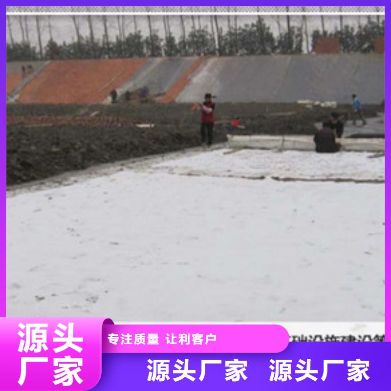 膨润土防水毯生产厂家-批发