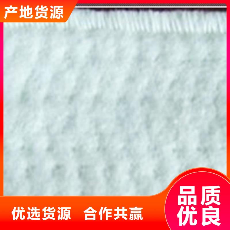 膨润土防水毯厂家好品质