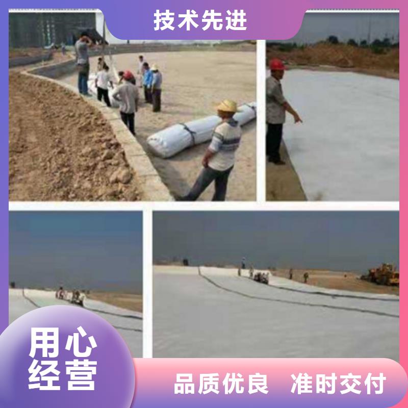 膨润土防水毯-膨润土防水毯基地