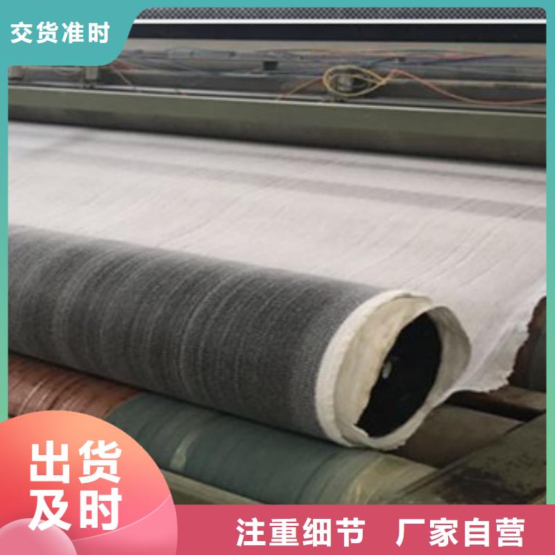 专业销售膨润土防水毯-优质