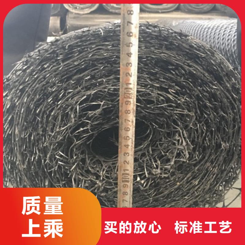 定制土工格栅