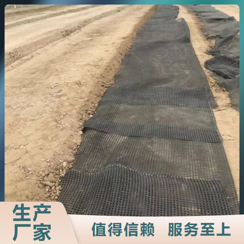 土工格栅_您的要求是我们的追求