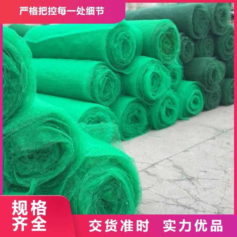 优选：三维植被网供货商