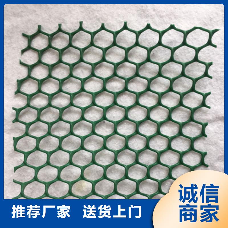 三维植被网厂家数十年行业经验