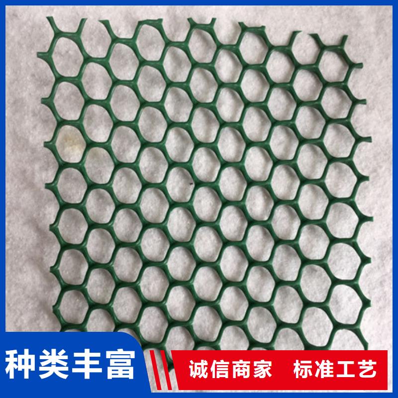 优选：三维植被网供货商